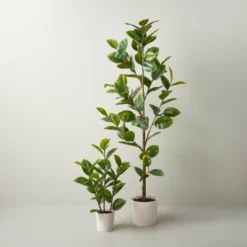 73" Faux Rubber Leaf Tree - Hearth & Hand™ With Magnolia -Decor Haven Shop GUEST 6c20b565 db18 4aa0 adaa 8ad03c3a5063