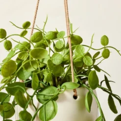 Decor Haven Shop -Decor Haven Shop GUEST a038b521 4b8c 4c09 be4b b801ccd0a0e4